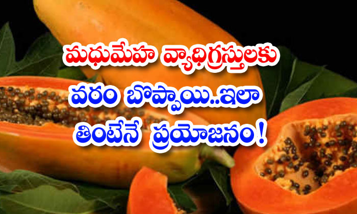  Diabetes Patients Should Eat These Things With Papaya, Diabetes Patient, Papaya, Good Health , Health Benifits, Diabetes-TeluguStop.com