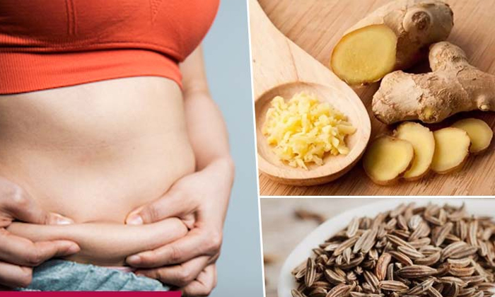 Telugu Cumin Seeds, Ginger, Tips, Lemon, Lose-Telugu Health - తెలుగు Telugu Cumin Seeds, Ginger, Tips, Lemon, Lose-Telugu Health - తెలుగు