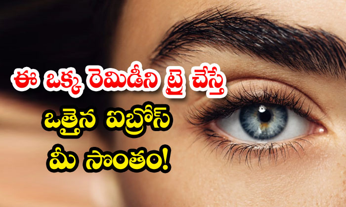  Effective Home Remedy For Thick Eyebrows! Home Remedy, Thick Eyebrows, Eyebrows, Latest News, Beauty, Beauty Tips,-TeluguStop.com