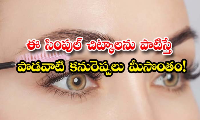  Simple Tips To Get Long Lashes , Simple Tips , Long Lashes , Eye Lashes , Latest News , Beauty , Beauty Tips , Home Remedies-TeluguStop.com