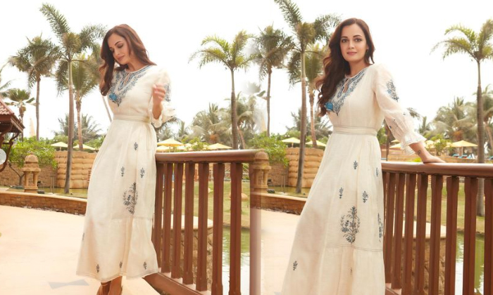 Actress Dia Mirza Dazzles In This Pictures-telugu Actress Hot Photos Actress Dia Mirza Dazzles In This Pictures - Actressdiamirza Diamirza Actressdia High Resolution Photo