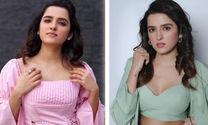 Actress Singer Shirley Setia Looks Flawless In This Clicks - Shirley Setia Shirleysetia High Resolution Photo