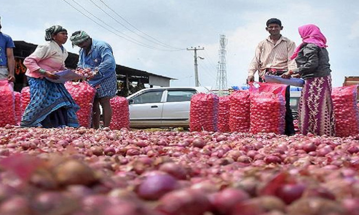  Onion Farmers Now Started Social Media Protest,Onions, Onions Price, Maharashtra Farmers, Farmers Protest-ఉల్లి రైతుల వినూత్న ఆందోళ‌న‌.. చూస్తే విస్తుపోవాల్సిందే-,Top Story-Telugu Tollywood Photo Image-TeluguStop.com