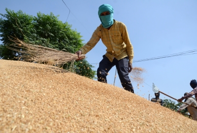  Centre Bans Wheat Export-TeluguStop.com