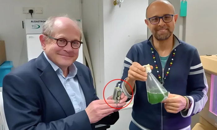 Telugu Algae Battery, Cambridge, Latest, Photosynthesis, Poweredalgae, Small Battery, Technical-Latest News - Telugu Telugu Algae Battery, Cambridge, Latest, Photosynthesis, Poweredalgae, Small Battery, Technical-Latest News - Telugu