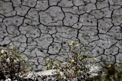 Horn Of Africa Drought Affects 18mn People: Un-TeluguStop.com