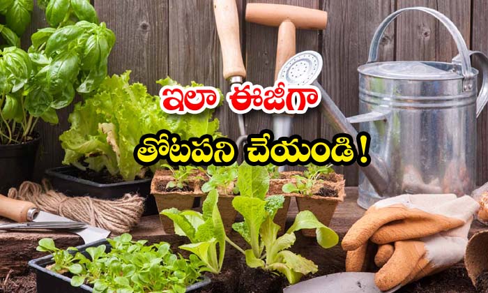  Learn Gardening Tricks , Gardening , Gardening Tricks , Snails , Insects , Egg Shell Powder , Neem Leaves-TeluguStop.com
