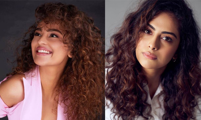 Telugu Avika Gor, Curly, Malavika Nair, Nithya Menon, Rithika Singh, Sai Pallavi, Seerat Kapoor, Tollywood-Movie Telugu Avika Gor, Curly, Malavika Nair, Nithya Menon, Rithika Singh, Sai Pallavi, Seerat Kapoor, Tollywood-Movie