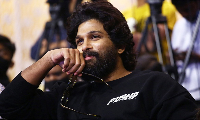 Telugu Allu Arjun Fans, Allu Fans, Chiranjeevi, Controversy, Janasena, Fans, Pawan Kalyan-Movie Telugu Allu Arjun Fans, Allu Fans, Chiranjeevi, Controversy, Janasena, Fans, Pawan Kalyan-Movie