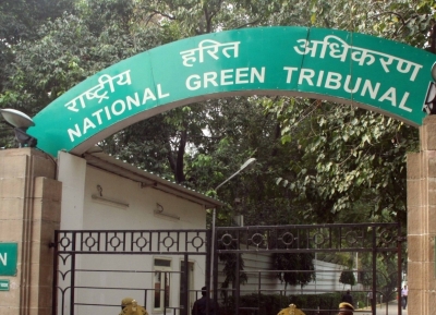  Ngt Directs Panel To Inspect Omaxe Chandigarh Extension Housing Project-TeluguStop.com
