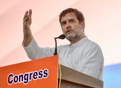  Rahul's Jibe At Regional Parties Criticised By Jd-s-TeluguStop.com