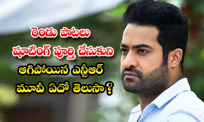  Shocking Facts About Young Tiger Ntr Cine Career Details Here , Ntr , Pawans Sridhar , Shocking Facts ,simhadri , Rajamouli , Two Songs Shooting , Young Tiger Ntr-TeluguStop.com