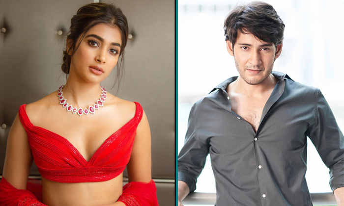 Telugu Athadu, Pooja Hegde, Khaleja, Mahesh Babu, Maheshbabu, Sarkaruvaari, Ssmb, Trivikram-Movie Telugu Athadu, Pooja Hegde, Khaleja, Mahesh Babu, Maheshbabu, Sarkaruvaari, Ssmb, Trivikram-Movie