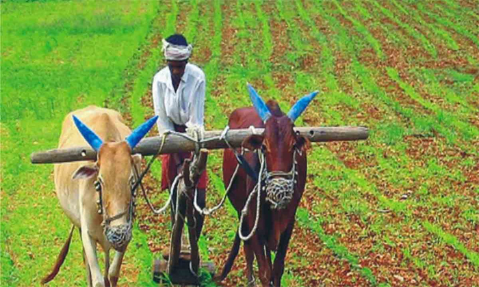 Telugu Crop, Farmers, Dharani, Estate, Officers, Telangana-Latest News - Telugu
