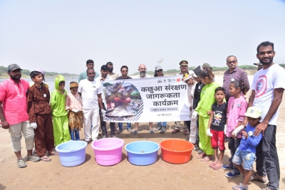  World Turtle Day: Hundreds Of Hatchlings Released In Chambal-TeluguStop.com