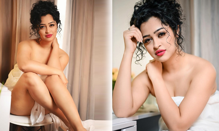 Hot Beauty Apsara Rani Looks Pretty Hot In This Clicks-telugu Actress Hot Spicy Photos Hot Beauty Apsara Rani Looks Pretty In This Clicks - Apsararani High Resolution Photo