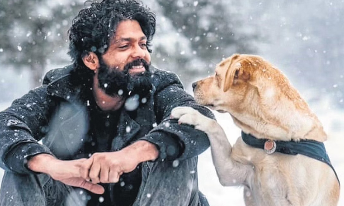 Telugu Charlee, Imdb, Kgf, Ott, Rrr-Movie Telugu Charlee, Imdb, Kgf, Ott, Rrr-Movie