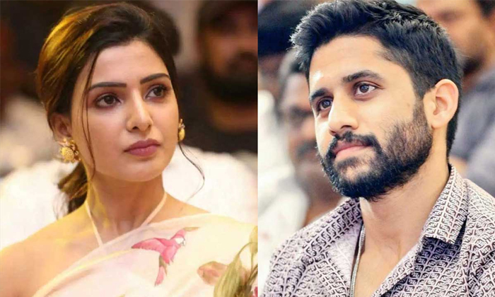 Telugu Akkineni Fans, Samantha, Naga Chaitanya, Nagachaitanya, Rumors, Tollywood-Movie Telugu Akkineni Fans, Samantha, Naga Chaitanya, Nagachaitanya, Rumors, Tollywood-Movie