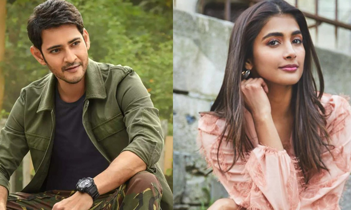 Telugu @rashmikamandanna, Tollywood, Allu Arjun, Chiranjeevi, Combo, Keerthy Suresh, Krithi Shetty, Maheshbabu, Naga Chaitanya, Nani, Raashi Khanna, Tamannah, Tollywood Pairs-Movie Telugu @rashmikamandanna, Tollywood, Allu Arjun, Chiranjeevi, Combo, Keerthy Suresh, Krithi Shetty, Maheshbabu, Naga Chaitanya, Nani, Raashi Khanna, Tamannah, Tollywood Pairs-Movie