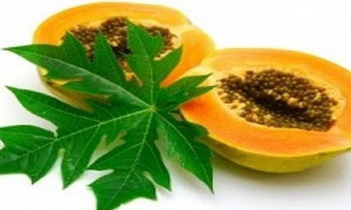  These Are The Foods That People Suffering From Dengue And Malaria Should Eat! De-TeluguStop.com