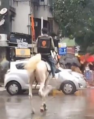  Swiggy Looking For Unknown Delivery Man Riding Horse Who Went Viral-TeluguStop.com