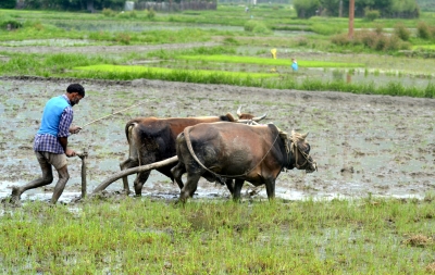  T'gana Continues Disbursement Of Investment Support Among Farmers-TeluguStop.com