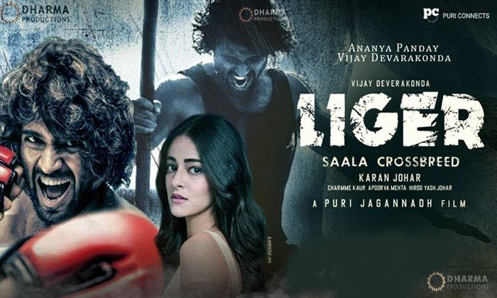 Telugu Ananya Panday, Liger, Liger Pre, Puri Jagannath-Movie