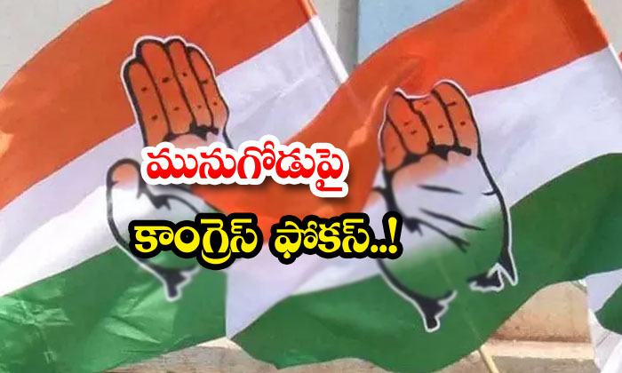  Congress Focus On Munugodu Munugodu, Congress, Raja Gopal Reddy , Ts Poltics,sravanti, Kailash, Palle Ravi, Revanth Reddy-TeluguStop.com