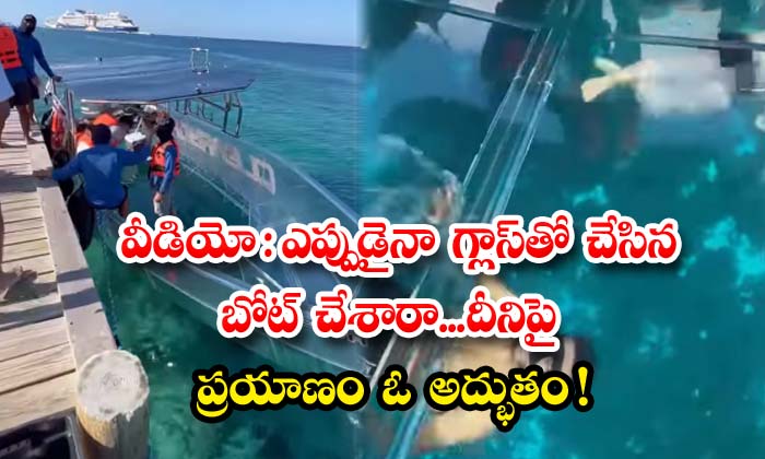  Have You Ever Seen A Boat Made Of Glass.. The Journey On It Is A Miracle , Glass Boat, Viral Latest, News Viral, Social, Media, Video Viral, Travel, Journey-TeluguStop.com