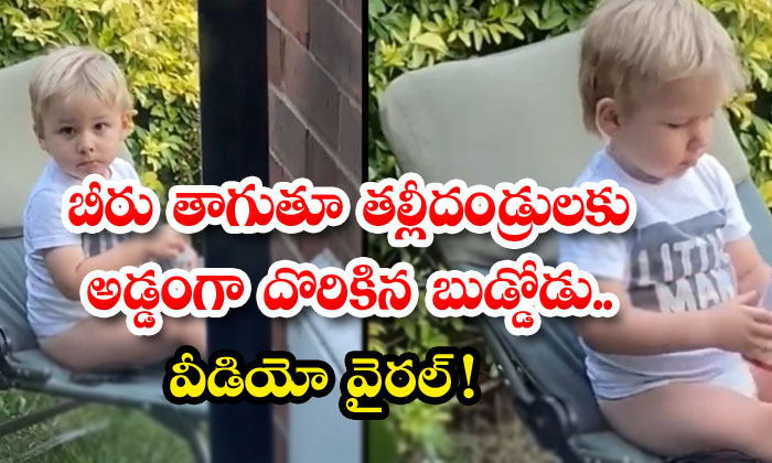  A Boy Found Across His Parents While Drinking Beer Video Viral Beer, Kid, Drinking, Viral Latest, News Viral, Social Media, Video Viral-TeluguStop.com