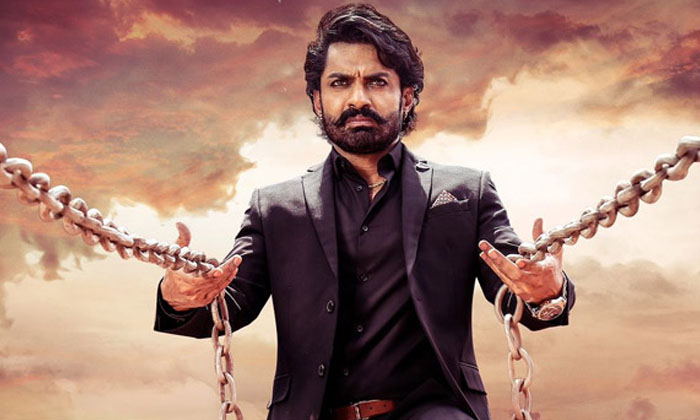 Telugu Bimbisara, Break, Catherine Tresa, Kalyan Ram, Samyuktha Menon, Tollywood-Movie Telugu Bimbisara, Break, Catherine Tresa, Kalyan Ram, Samyuktha Menon, Tollywood-Movie
