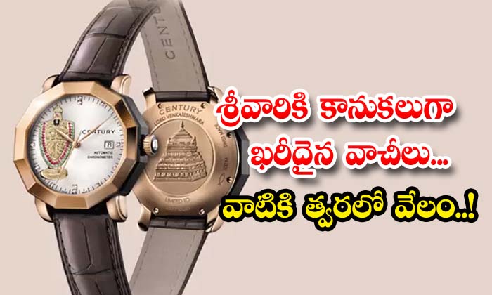  Expensive Watches As Gifts For Lord Shrinivasa They Will Be Auctioned Soon , Ttd , Thirumala , Watches , Gift , Action , Ap Govt,expensive Watches ,gifts For Lord Shrinivasa-TeluguStop.com