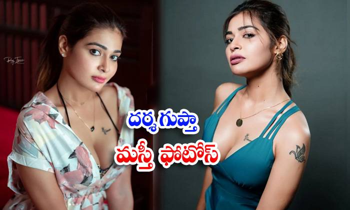 Actress Dharsha Gupta is too hot to handle in this spicy pictures-దర్శగుప్తా మస్తీ ఫొటోస్
