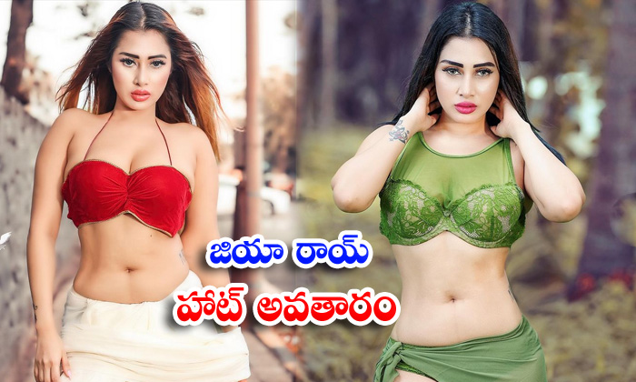 Actress Jiya roy raises the hotness with this spicy pictures-జియా రాయ్ హాట్ అవతారం