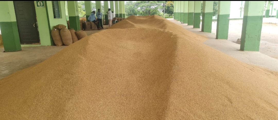  Illegal Grain In Peta Agricultural Market-TeluguStop.com