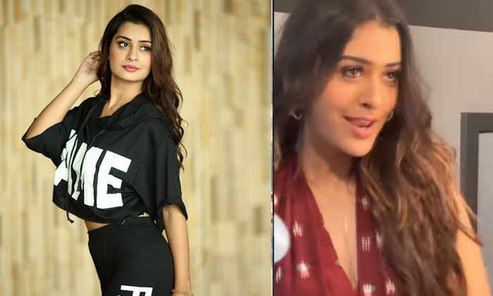  Payal Rajput Shared A Hot Video Ask The Netizens To Tell The Truth Payal Rajput-TeluguStop.com