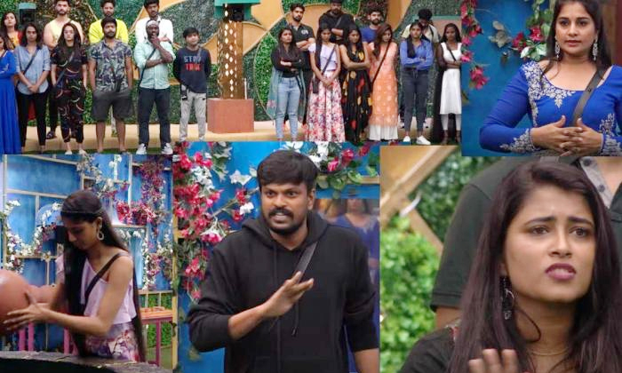 Telugu Bigg Boss, Bigg Boss Love, Bigg Boss Show, Captaincy Tasks, Nagarjuna-Lat Telugu Bigg Boss, Bigg Boss Love, Bigg Boss Show, Captaincy Tasks, Nagarjuna-Lat