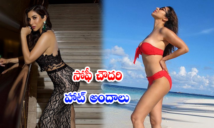  actress sophie choudry hot poses - Sophiechoudry, Sophie Choudry, Actresssophie