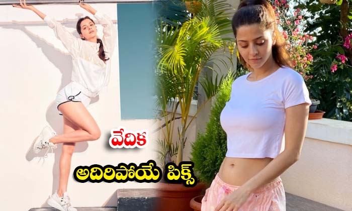  actress vedhika is raising temperatures on the internet with her - Homeminister, Actress Vedhika, A