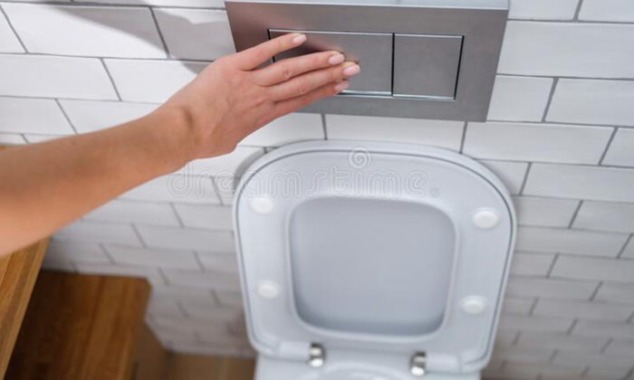  How To Use Dual Flush Button In Toilet,Toilet, Flush, Button,Flush Buttons,Vira-TeluguStop.com