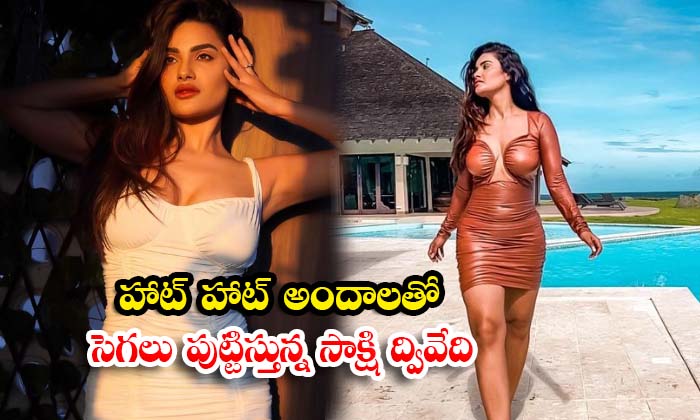  bollywood actress sakshi dwivedi is raising temperatures on the internet with her holiday photos - 