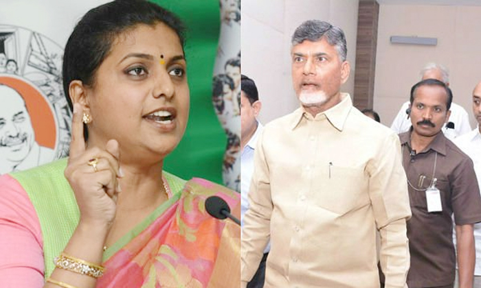  Chandrababu Fight Is Only To Protect Benami Minister Roja Serious Comments Detai-TeluguStop.com