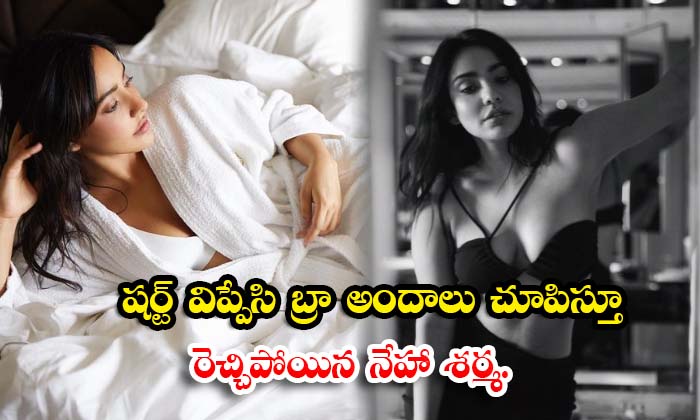  neha sharma is excited by taking off her shirt and showing off her bra - @neha_sharma, Actressneha,
