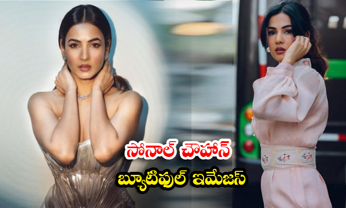  sonal chauhan spells magic on us with her hot show pictures - Sonalchauhan, Actresssonal, Sonal Cha