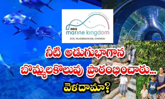  Underwater Toys Have Started Shall We Go, Under Water, Viral Latest, News Viral-TeluguStop.com