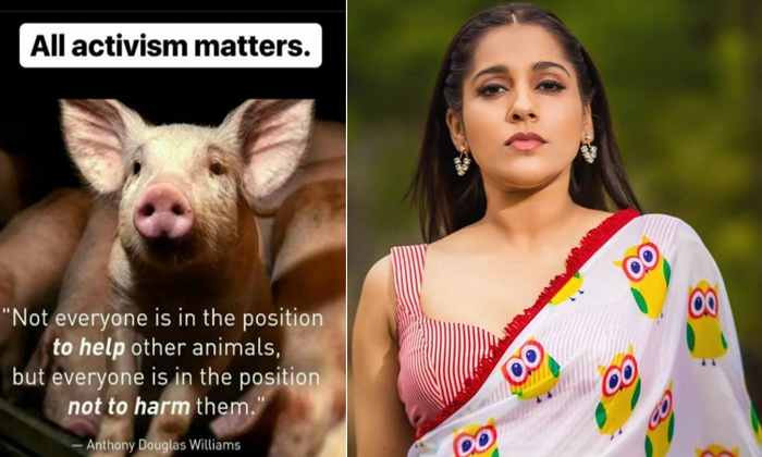 Telugu Anchorrashmi, Animals, Animals Mutes, Dogs, Extrajabardast, Humanity, Ras Telugu Anchorrashmi, Animals, Animals Mutes, Dogs, Extrajabardast, Humanity, Ras