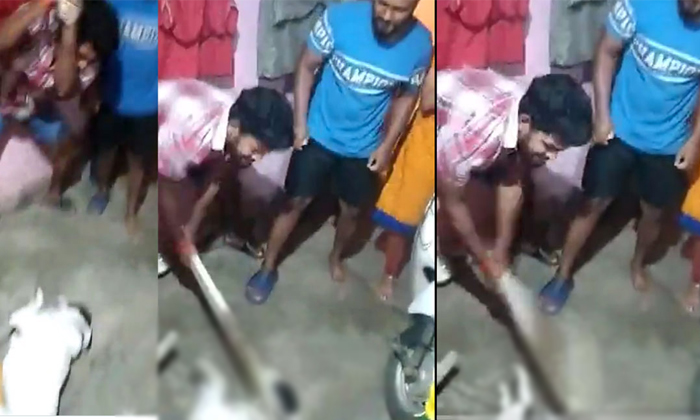  Men Brutally Thrasing A Dog With Sticks Viral Details, Dig, Viral Latest, News V-TeluguStop.com