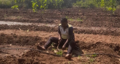  Wet Famine, New Diseases Give Sleepless Nights To Farmers Of Gogalwadi-TeluguStop.com