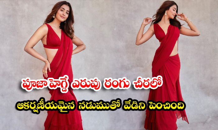  pooja hegde turns up the heat in a red saree glamorous waist images - Actresspooja, Poojahegde, Poo